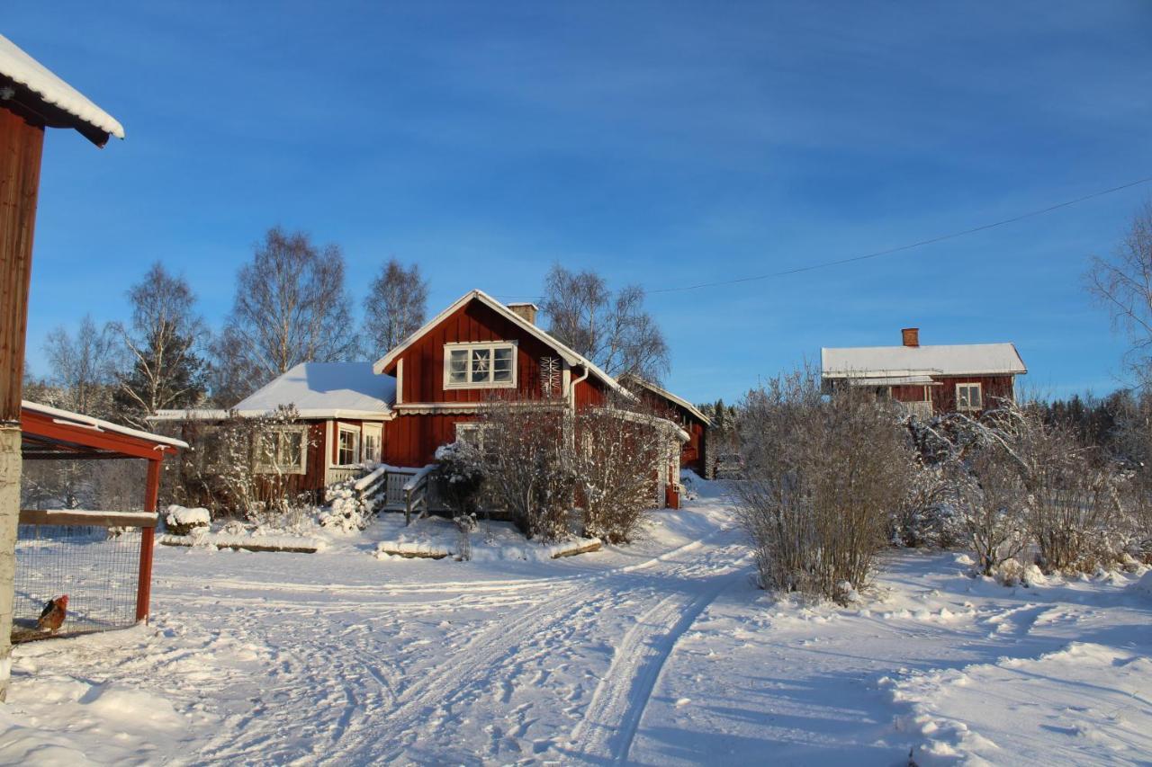 Boende Naera Romme Alpin Och Andra Friluftsaktiviteter I Dalarna Smedjebacken Buitenkant foto