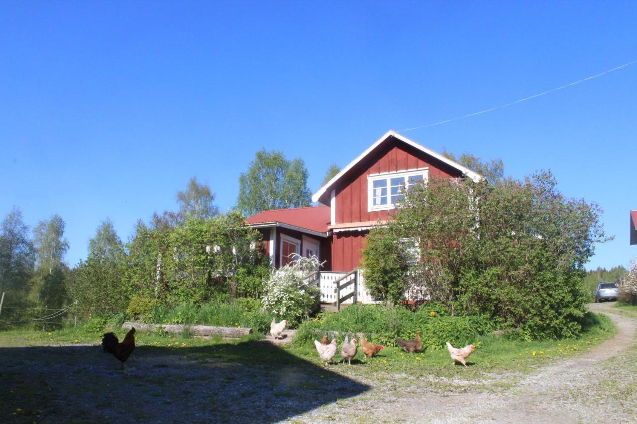 Boende Naera Romme Alpin Och Andra Friluftsaktiviteter I Dalarna Smedjebacken Buitenkant foto
