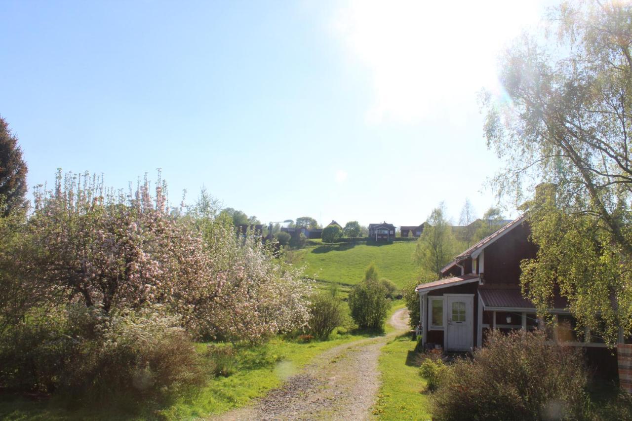 Boende Naera Romme Alpin Och Andra Friluftsaktiviteter I Dalarna Smedjebacken Buitenkant foto